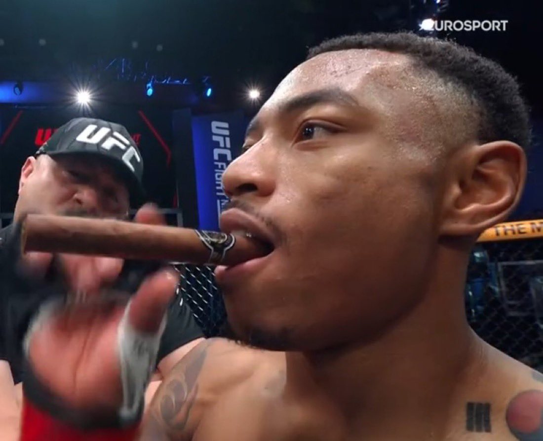 Spinnin Backfist tweet media