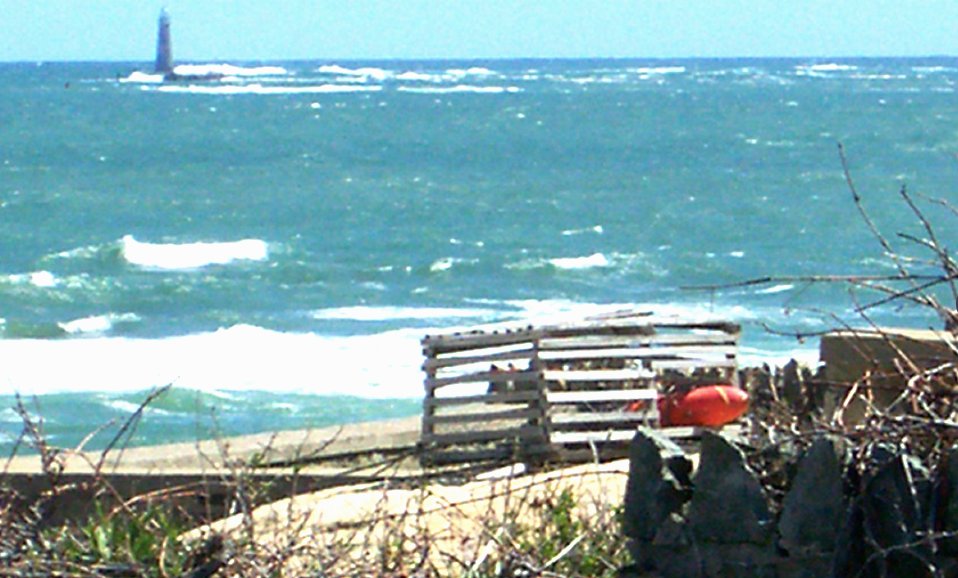 Rakil Holmaton tweet media