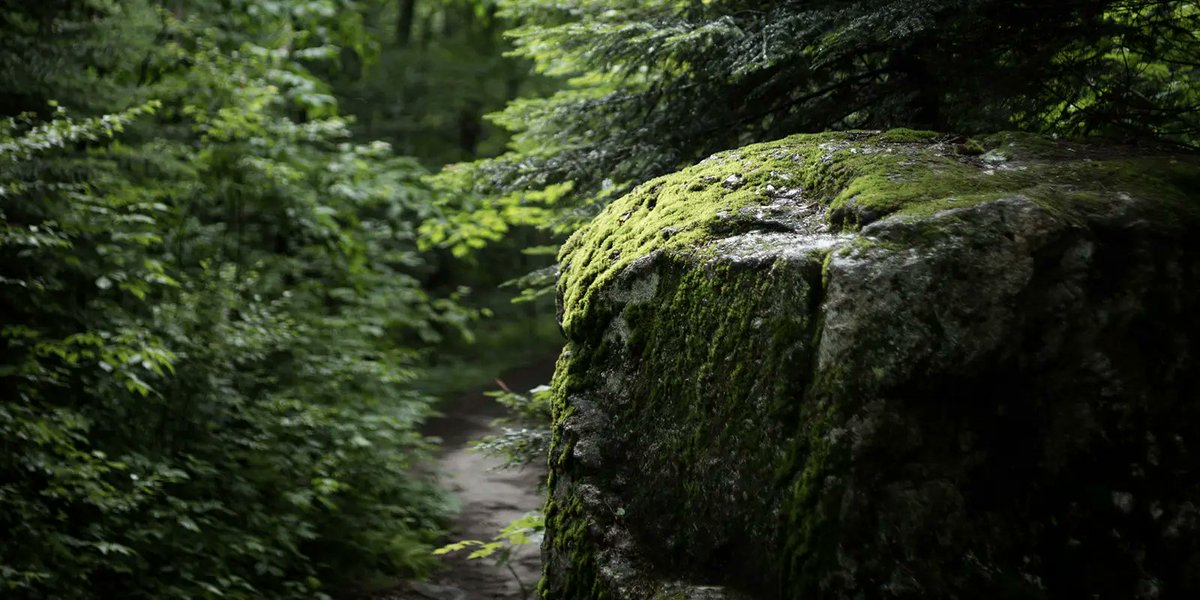 Cedar Creek Lake tweet media