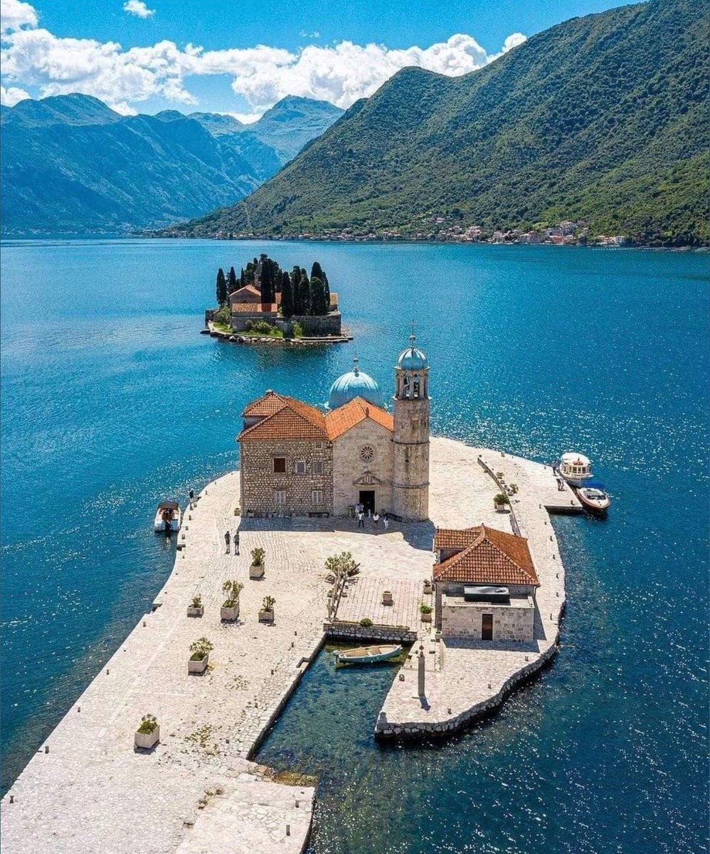 WORLD 2026 🌊 tweet media