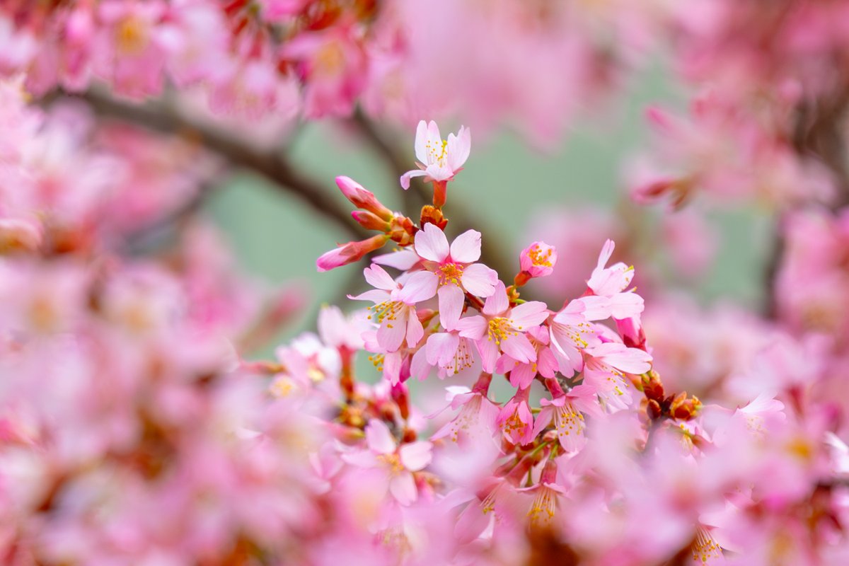 Andy Spessard tweet media