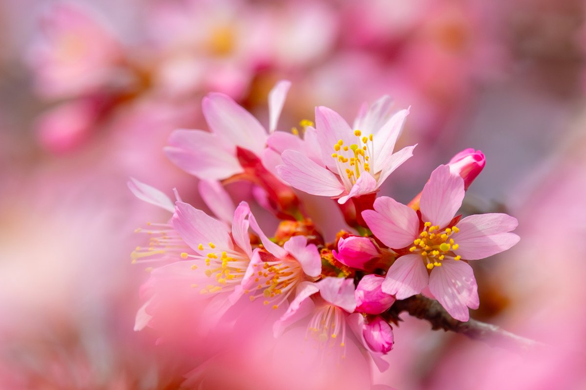 Andy Spessard tweet media