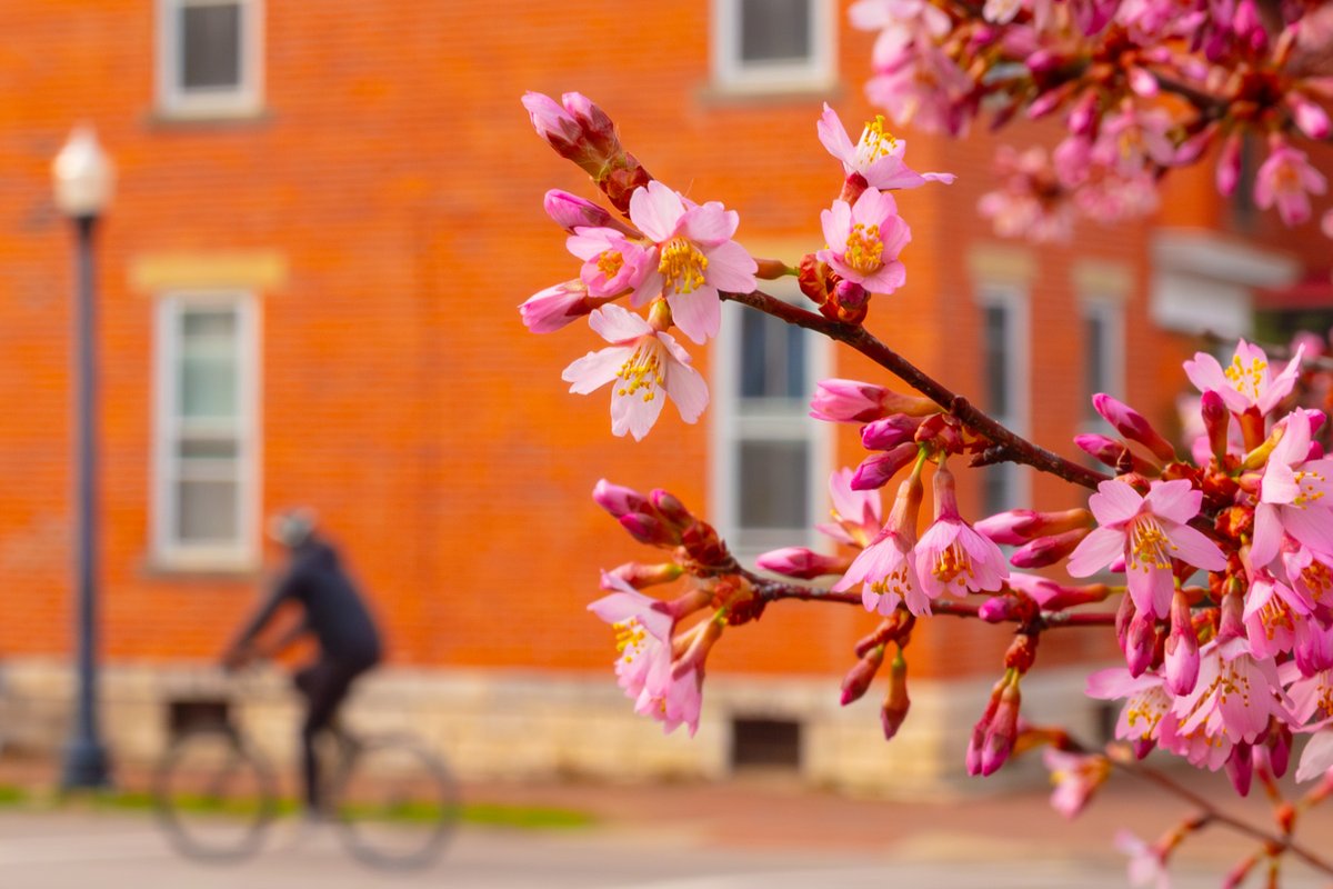 Andy Spessard tweet media