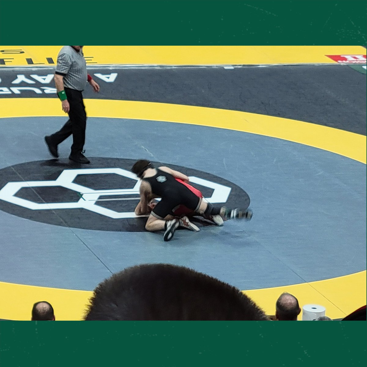 Elyria Catholic Athletics tweet media