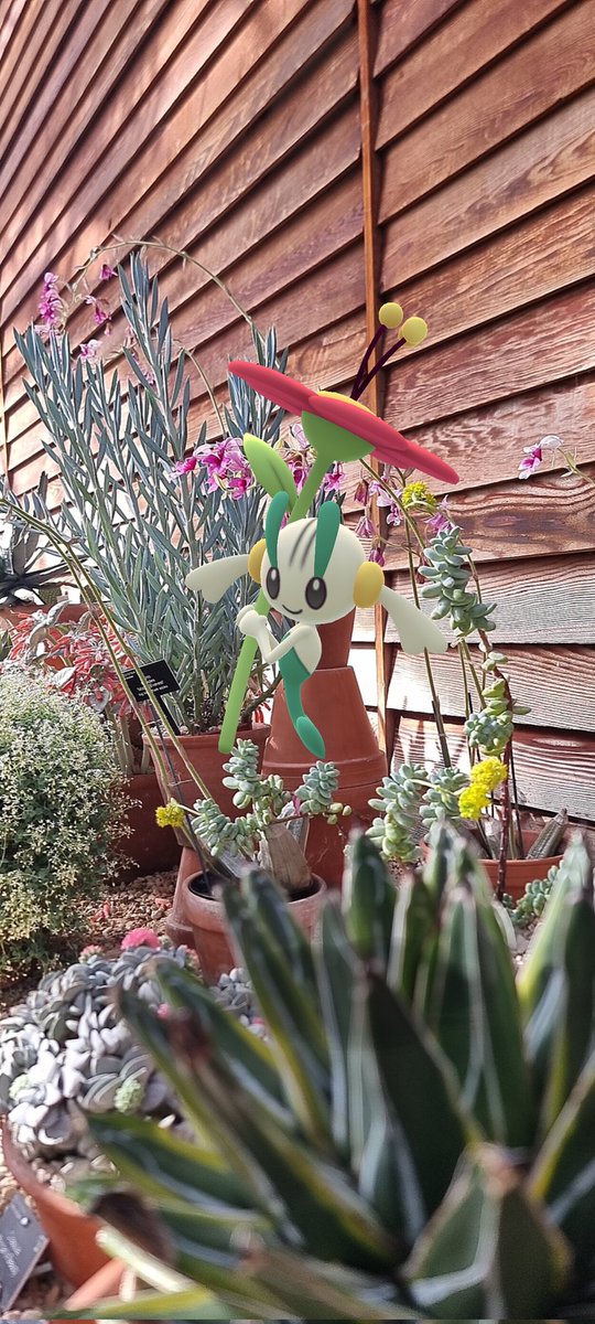 Canny_Lad tweet media