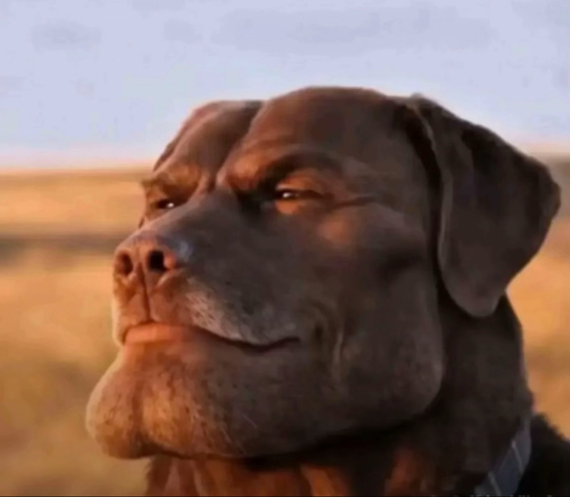 galaxykitty8008 tweet media