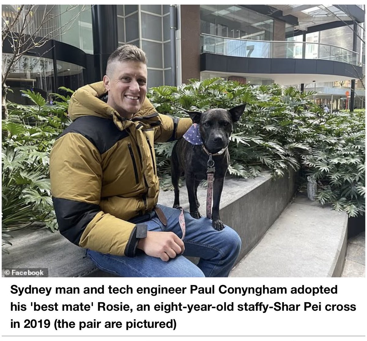 Metakognita tweet media