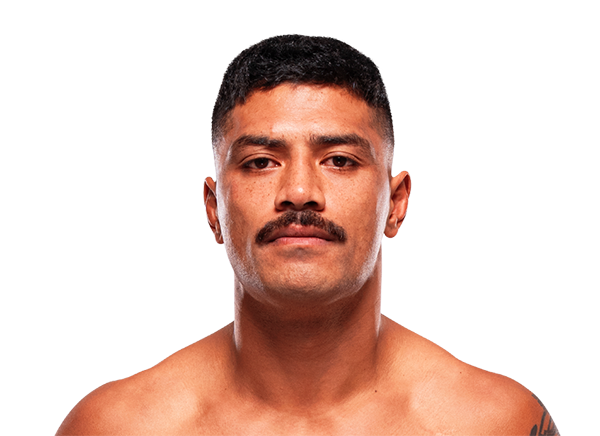 UFC Fight Tracker tweet media