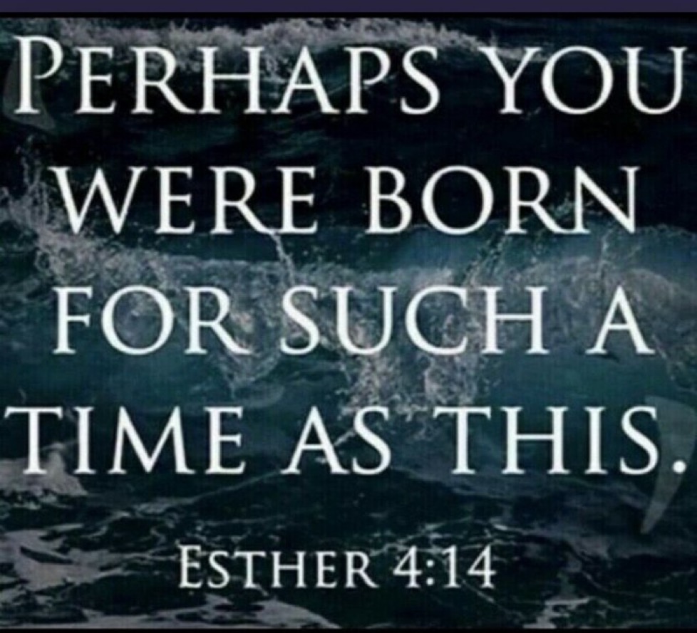 Operation Heal America tweet media