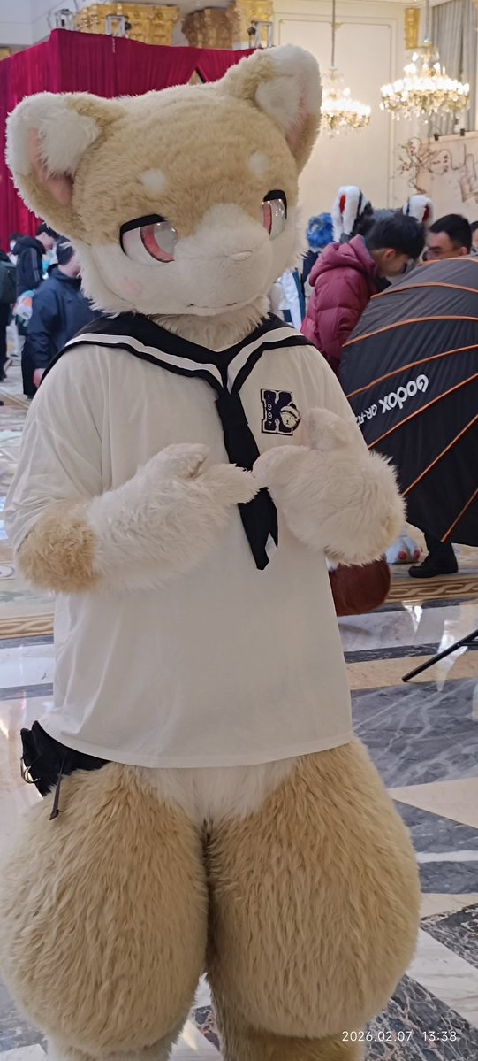 菠萝包包包 tweet media