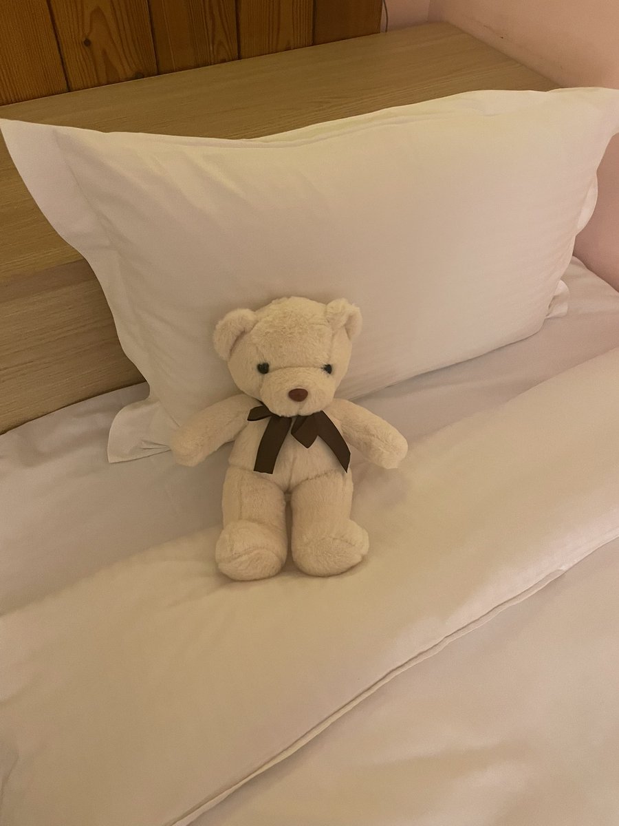 第一次遇到飯店送熊熊的🐻！

好可愛😍

#vtuber #新人vtuber #台v