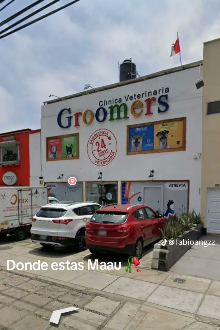 mariana🏳️‍⚧️ tweet media