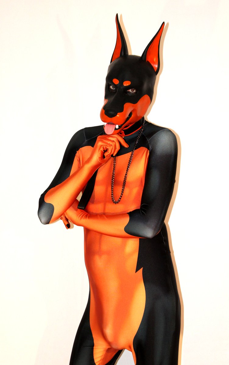 ferroequis tweet media