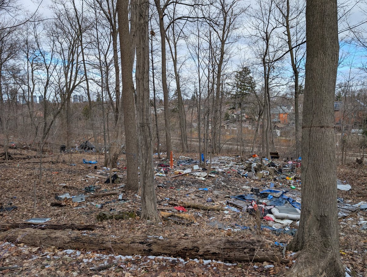 Andrew Selman tweet media