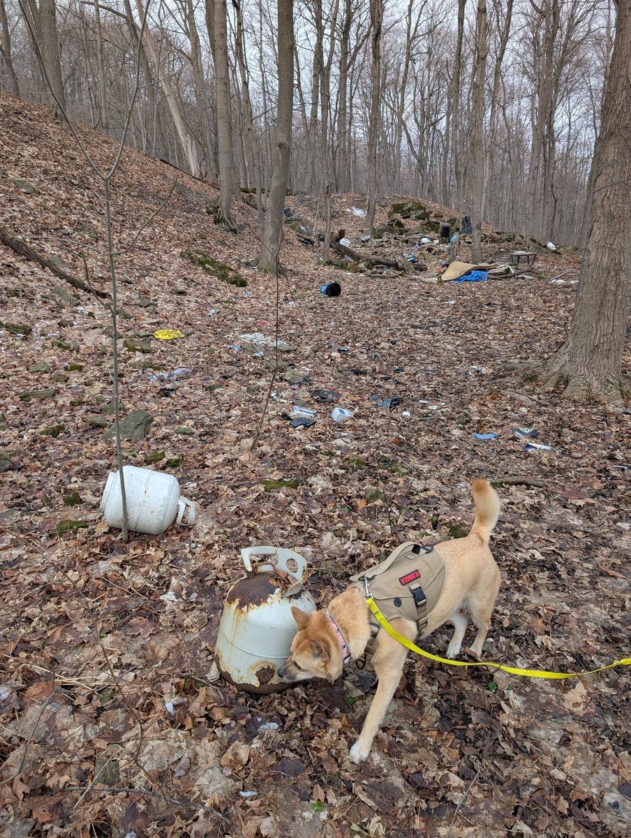 Andrew Selman tweet media