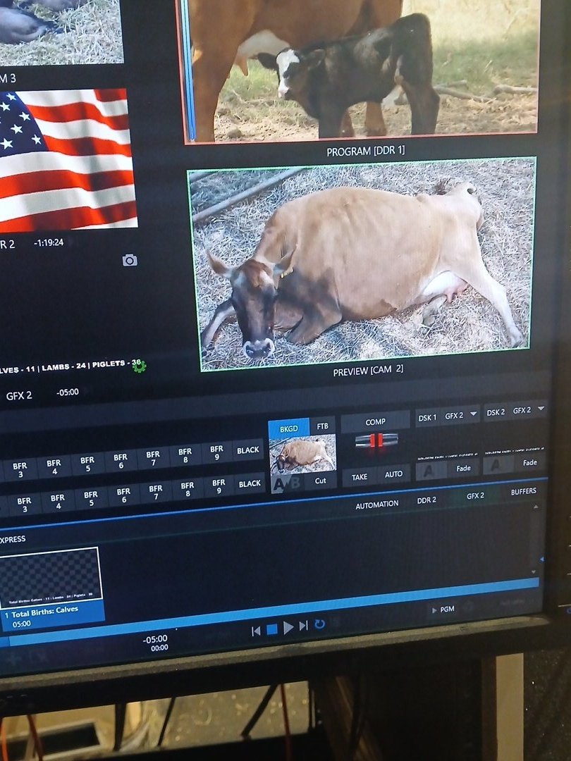 ♱ Coalz ☆ tweet media