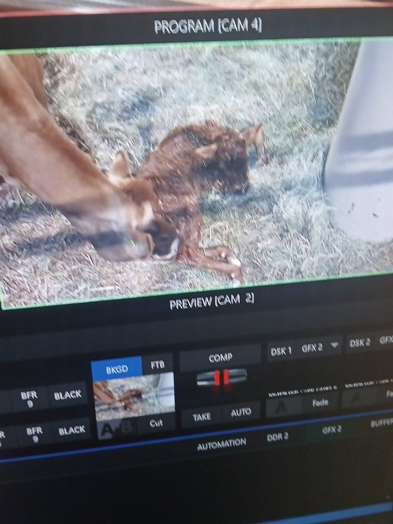 ♱ Coalz ☆ tweet media