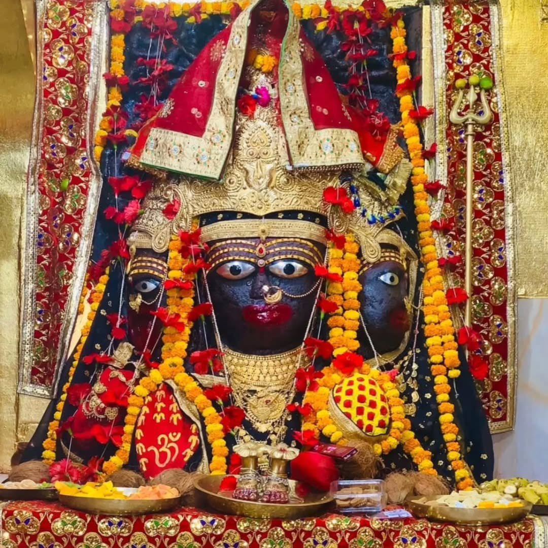 Dr Mohan Yadav tweet media