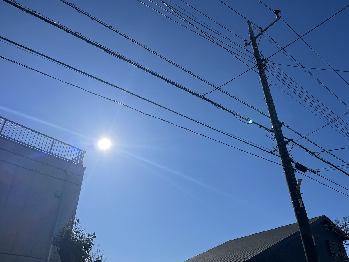 これから散歩してくる！