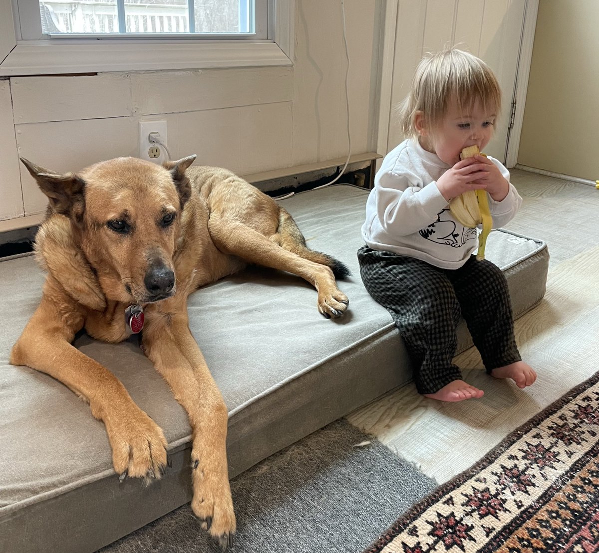 Andrew Begin tweet media