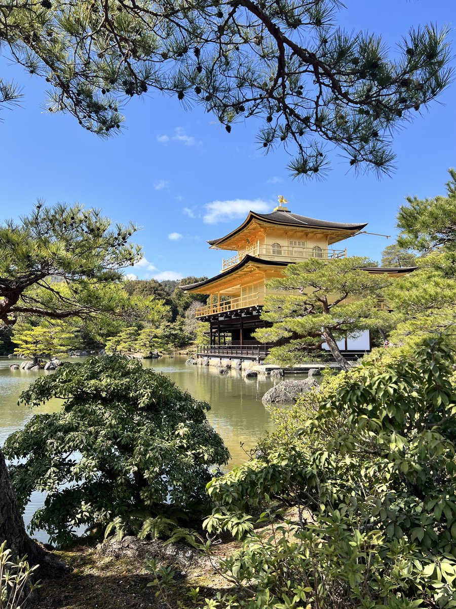 細木 祐佳/Yuka Hosoki tweet media