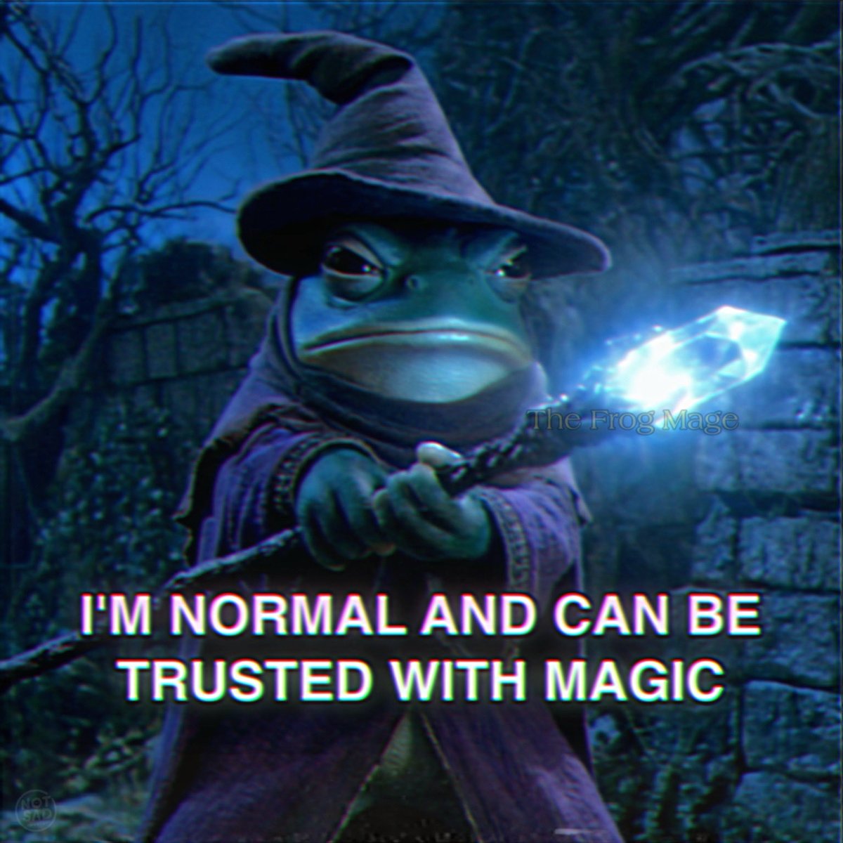 the_frog_mage's tweet photo. https://t.co/utzbYN71MY
