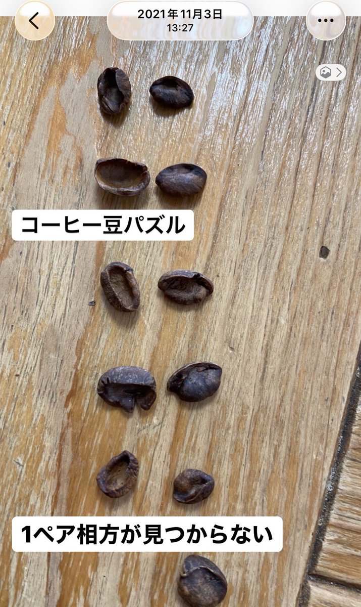 2021年11月
焙煎をしていると、時々「奇跡」が起きる。

あなたは「コーヒー豆パズル」を知っているだろうか。
もちろん正式な名前ではない。
過去にAraiがそう呼んでいた。

煉獄の炎の中で、豆は転がされ、炙られる。
中には二つの欠片となり、生き別れたまま