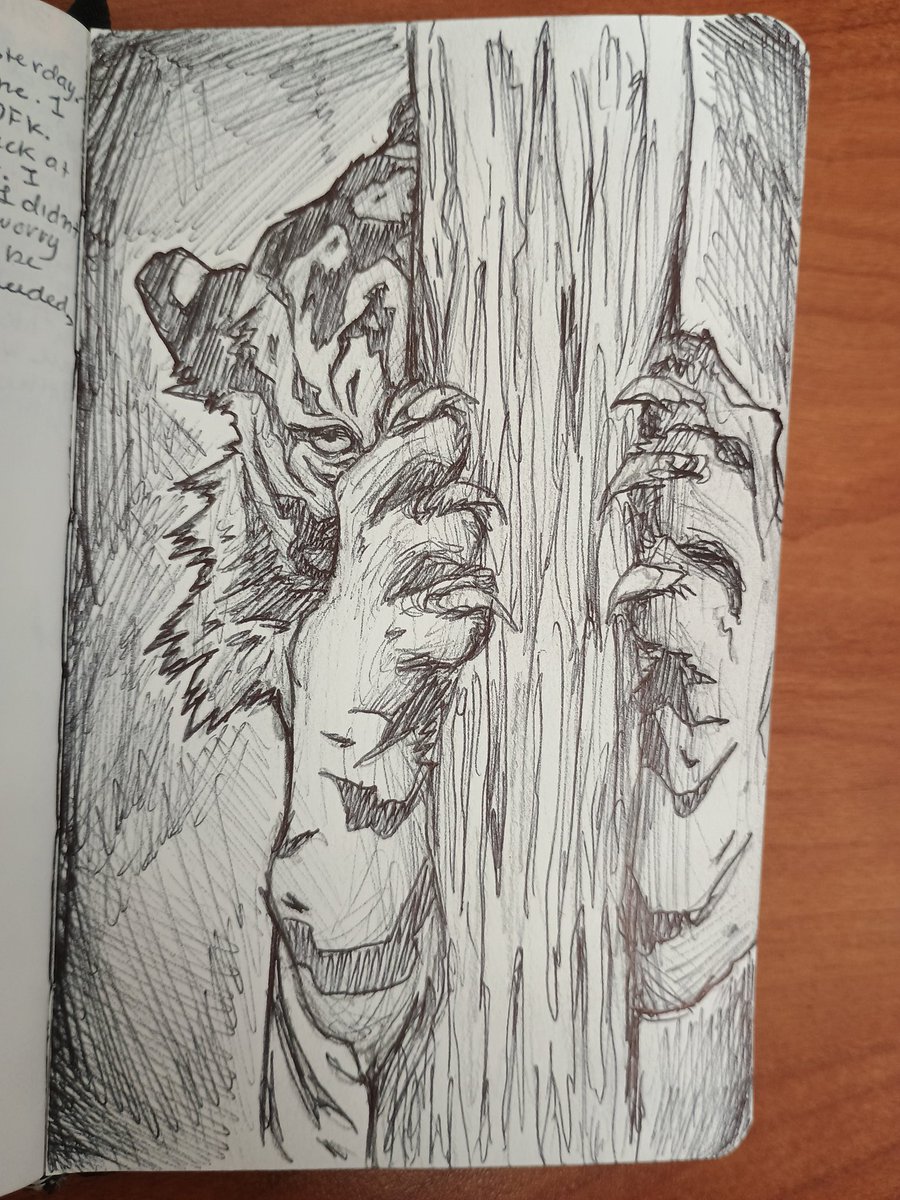 🌿 𝓐𝔪𝒆𝓈🌿 tweet media