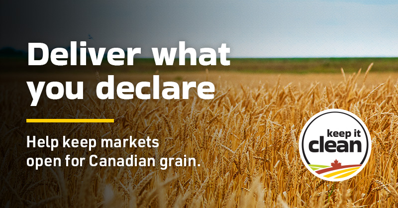 Sask Wheat tweet media