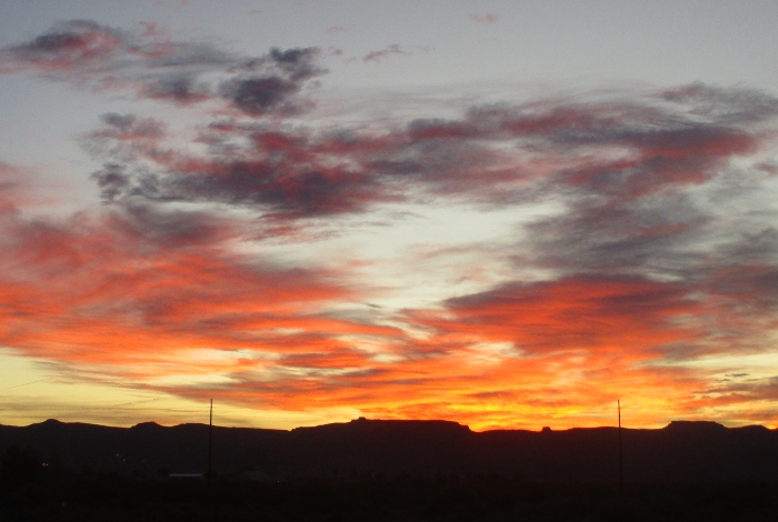 Shelly Shellaqua tweet media