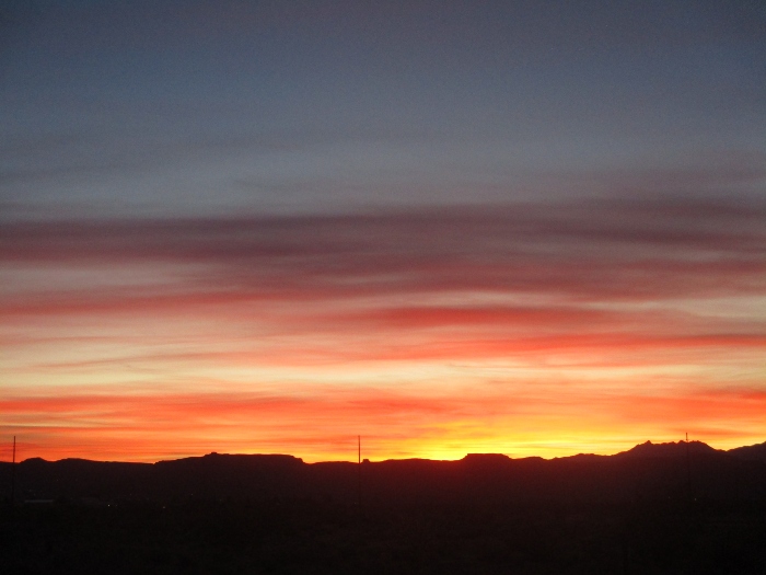 Shelly Shellaqua tweet media