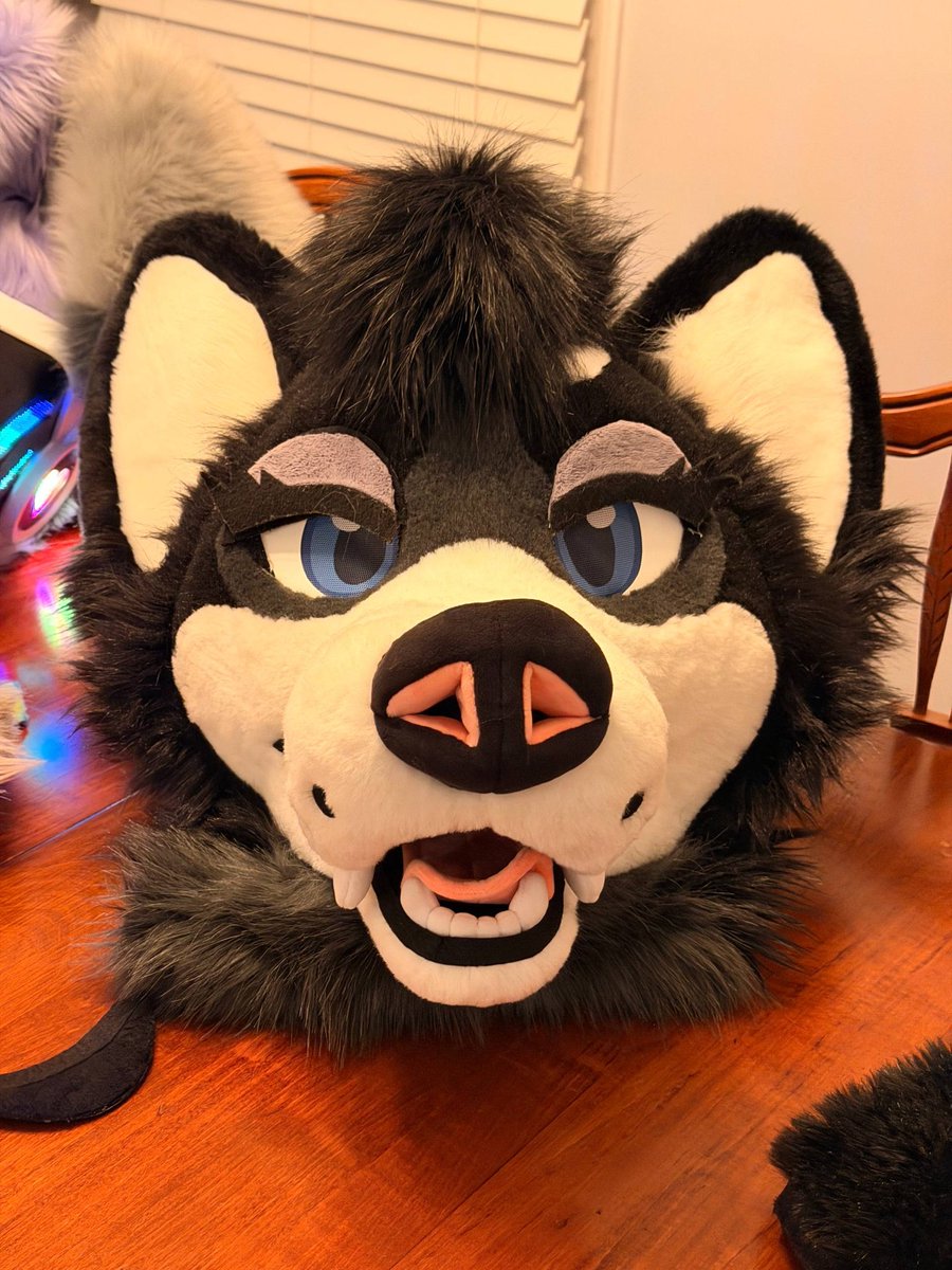 Kial 🔜 LVFC tweet media