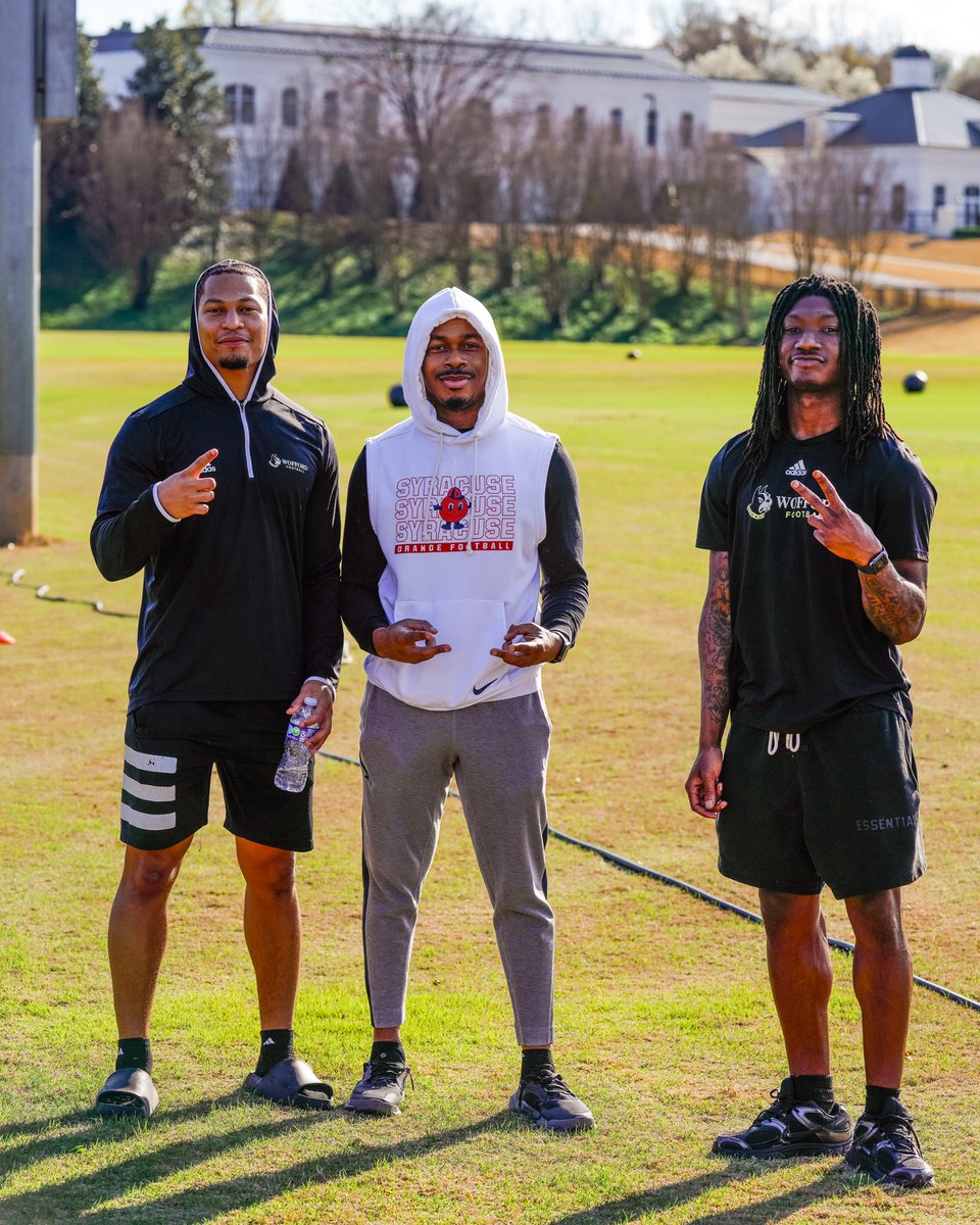 Brandon Napoleon tweet media