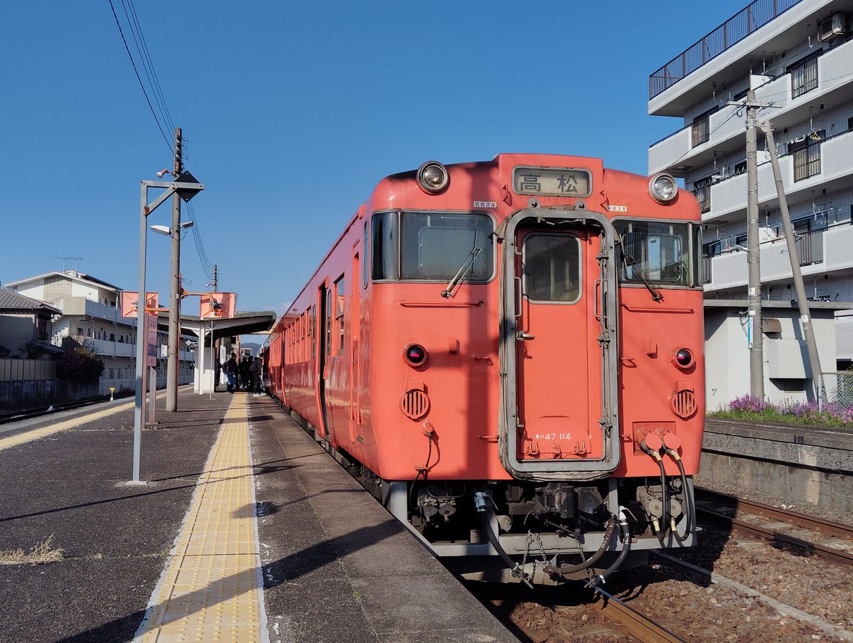 どーらく tweet media