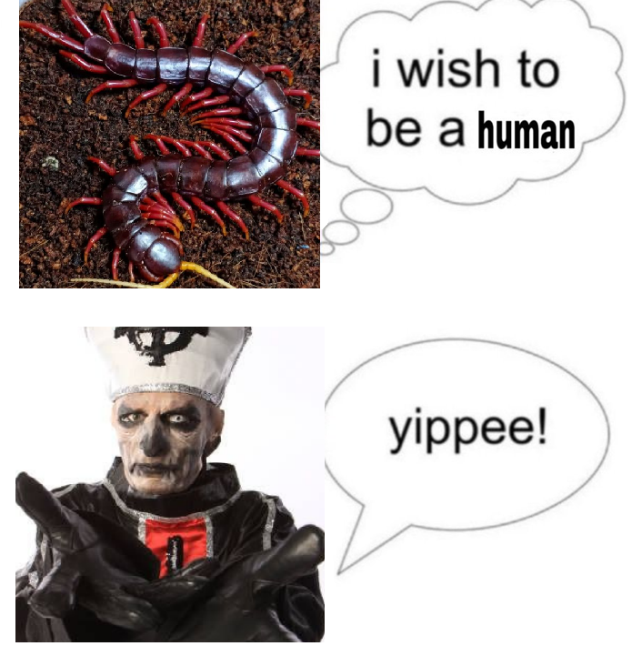 Primo's Personal Nurse tweet media