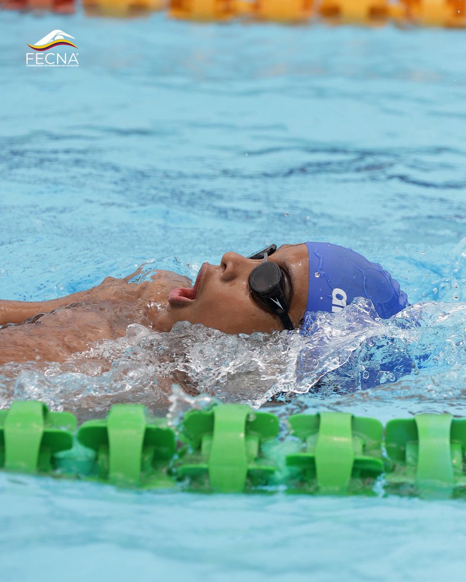 Federación Colombiana de Natación tweet media