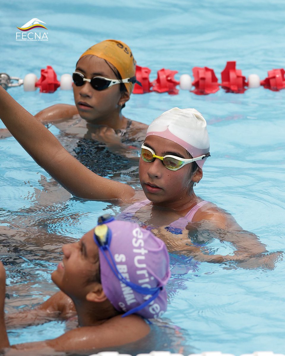 Federación Colombiana de Natación tweet media