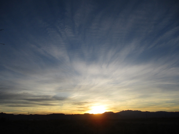 Shelly Shellaqua tweet media