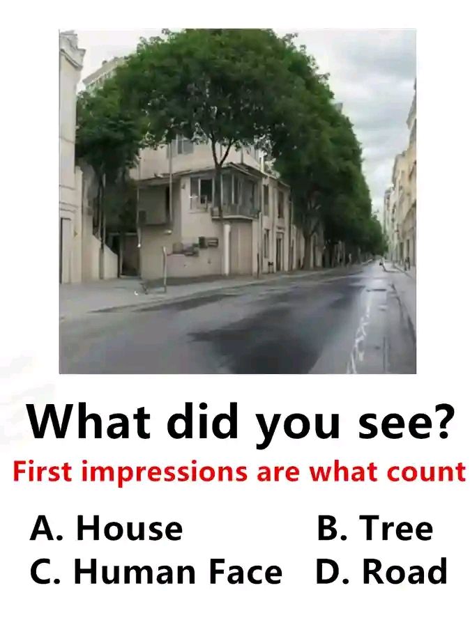 Lady Ascent tweet media