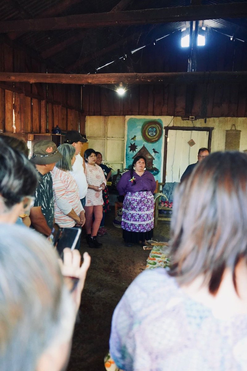 Budi Lafken Mapu,Operador Turistico tweet media