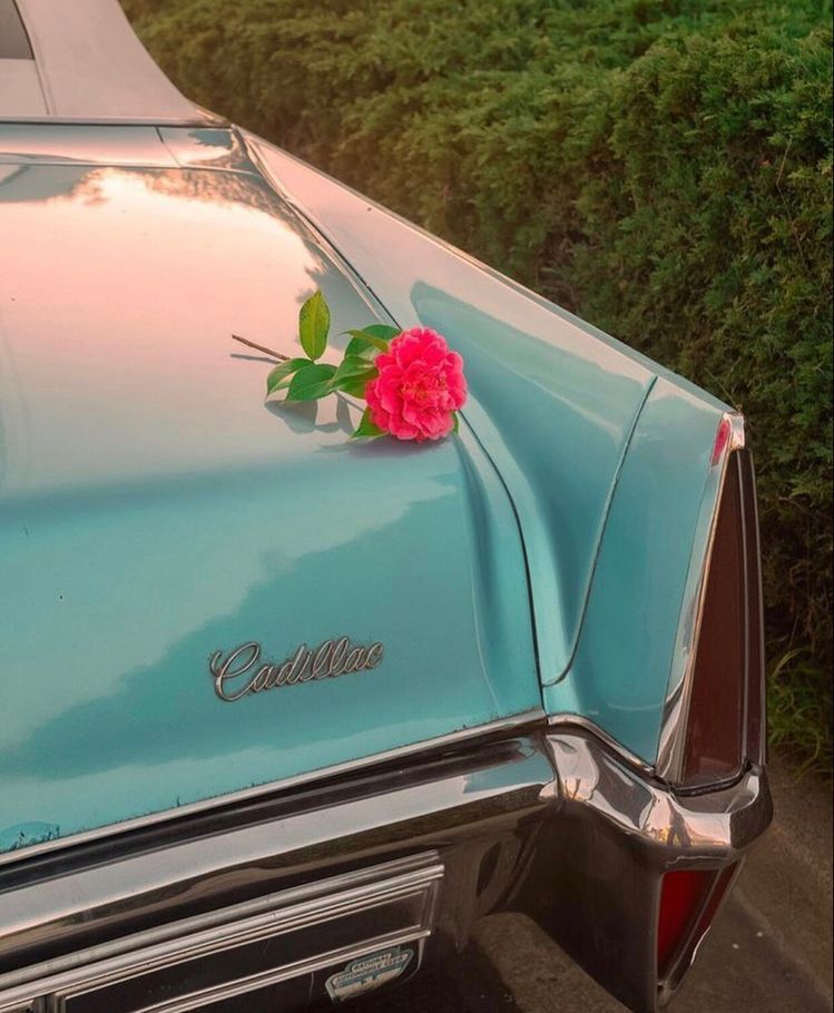 Wannawave (@wannawave) on Twitter photo 