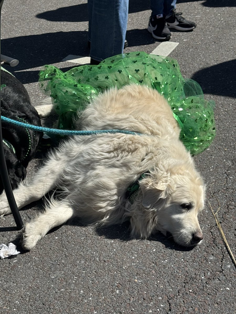 Sheryl M. Delozier tweet media