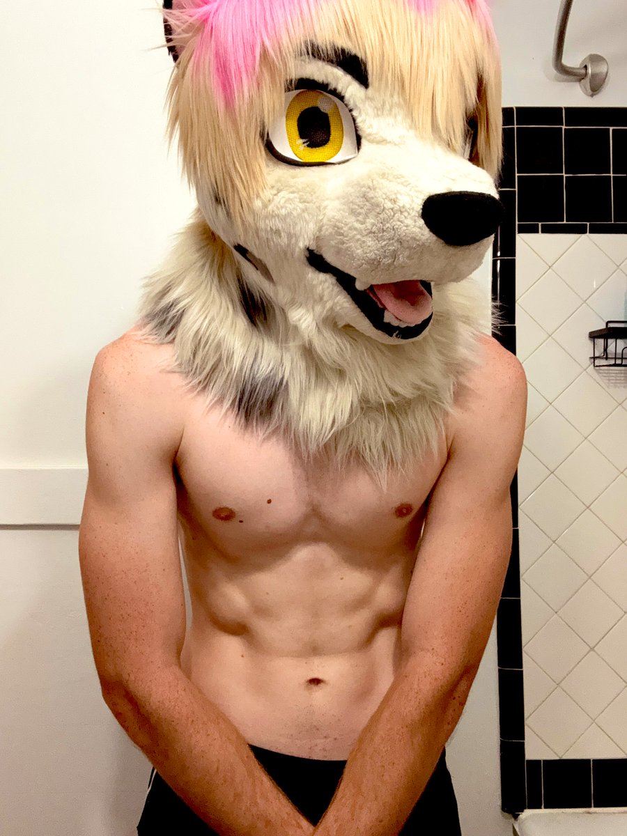 Alexander the great tweet media