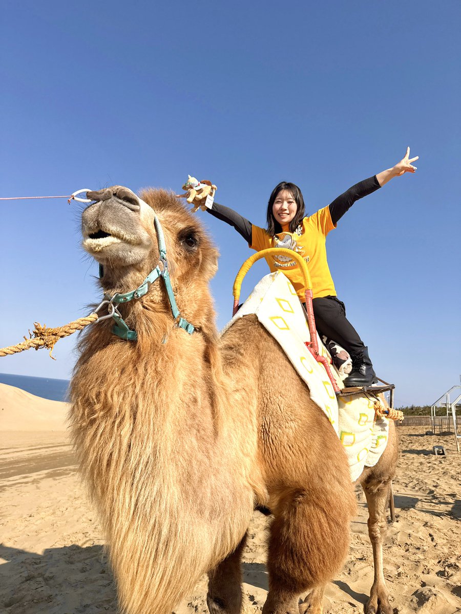 トラックめいめい🤰🏼 tweet media