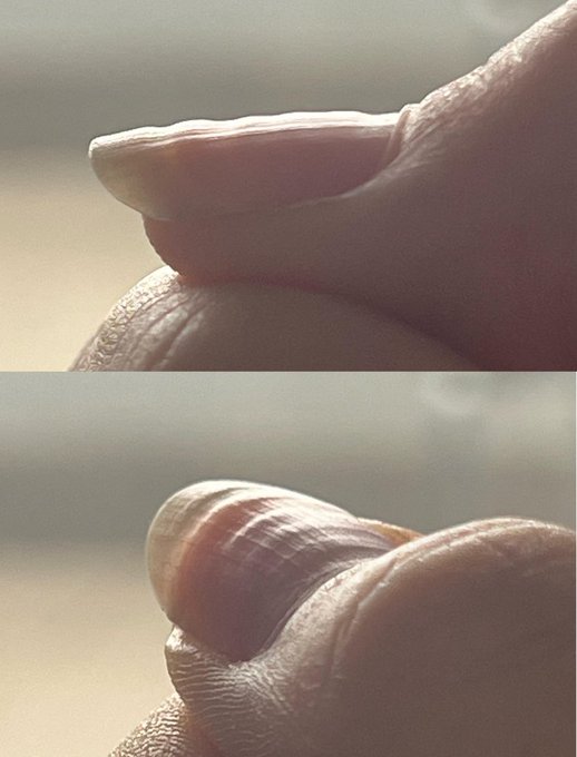 إياد tweet media