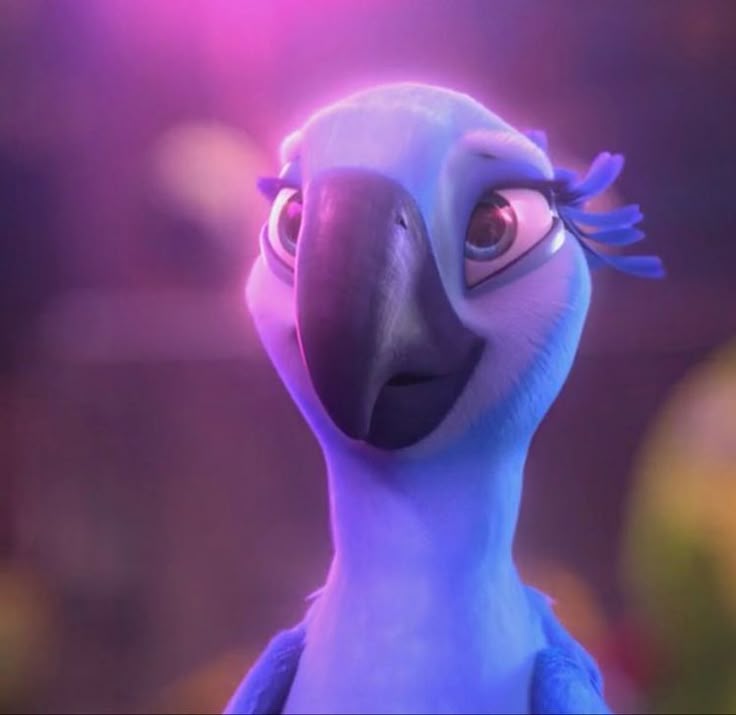 𝐊𝚊𝓽 💭 tweet media