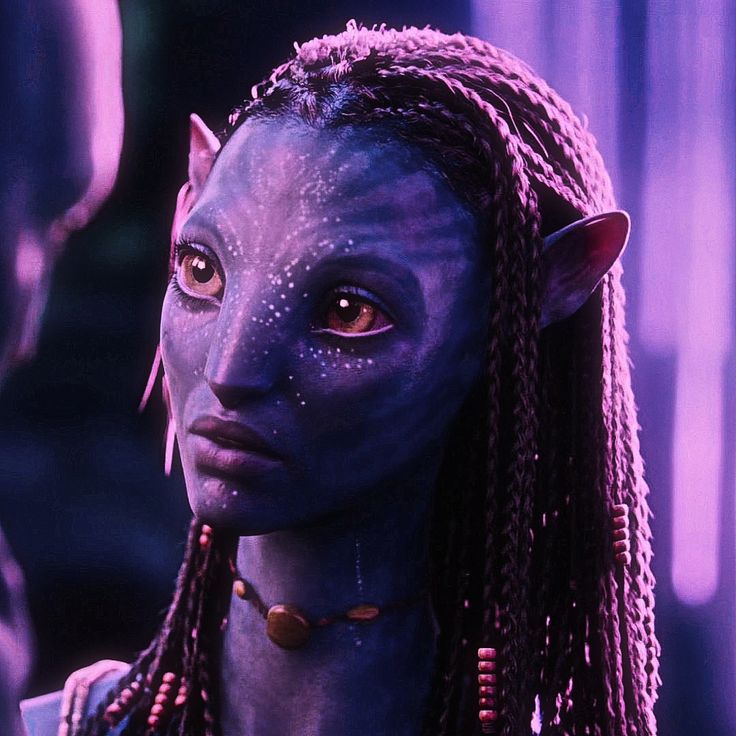 𝐊𝚊𝓽 💭 tweet media