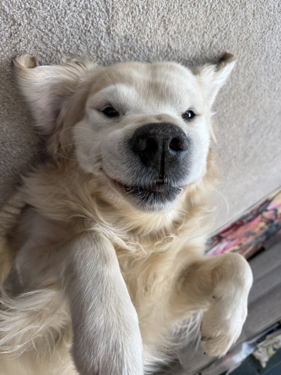 Hells Bells tweet media