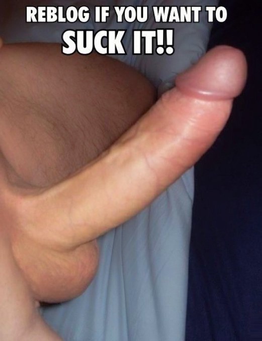 The Gay Guide🍆 tweet media