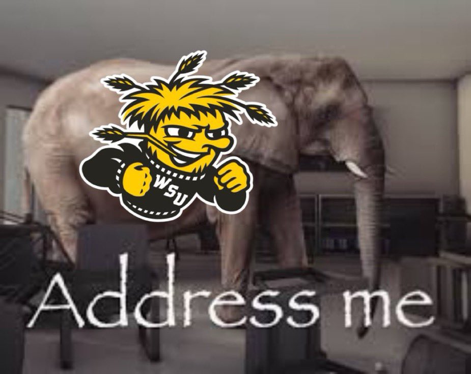 Sophie Smith tweet media